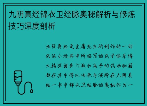 九阴真经锦衣卫经脉奥秘解析与修炼技巧深度剖析