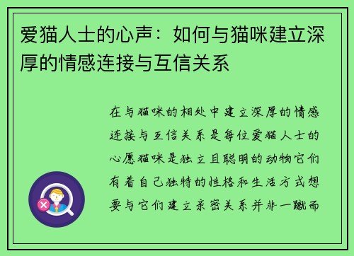 爱猫人士的心声:如何与猫咪建立深厚的情感连接与互信关系 爱猫人士的心声:如何与猫咪建立深厚的情感连接与互信关系